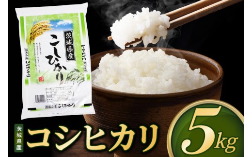 
                  【選べる配送回数】米 コシヒカリ 精米 5kg 先行予約 令和8年産 茨城県産 お米 こめ コメ ごはん 白米 こしひかり 茨城県産米 単一米 単一原料米 安心 安全 送料無料 国産 人気 数量限定 高評価（85-R8i025）
                