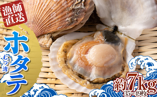 漁師直送 青森県 むつ湾 ホタテ(2年貝) 約7kg (35～49枚) 【龍運丸 水産】 ほたて 帆立 活ほたて 貝柱 殻付き 魚介 青森 東北 陸奥湾 F21J-183