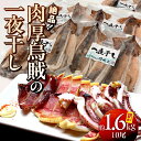 【ふるさと納税】訳あり いか 一夜干し 1.6kg 10尾 2尾×5パック サイズ 小ぶり 増量 小分け 味は絶品 肉厚 イカ 甘塩 おつまみ おかず お取り寄せ グルメ 酒の肴 送料無料