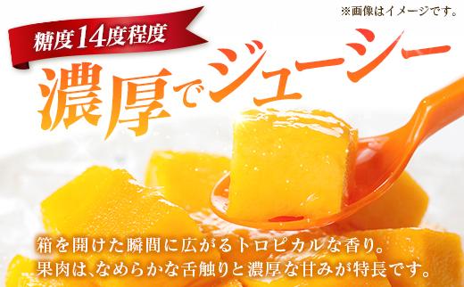宮崎 樹上完熟 マンゴー 2Lサイズ×3玉 霧島連山の麓育ち 宮崎県産 トロピカル フルーツ お取り寄せ 果物 旬
