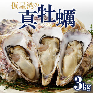 仮屋湾の真牡蠣 3kg【殻付き】（12月配送）【D005-12】