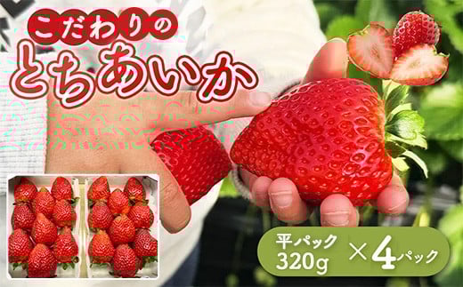 とちあいか 平パック 320g×4パック ｜とちあいか平パック苺 とちあいか平パックいちご 320g苺 320gいちご 4パック苺 4パックいちご とちあいかイチゴ とちあいかストロベリー イチゴ いちご 苺 ヒラパック  320gパック 4パック ※北海道・沖縄・離島への配送不可 ※2026年1月中旬～3月中旬頃に順次発送予定