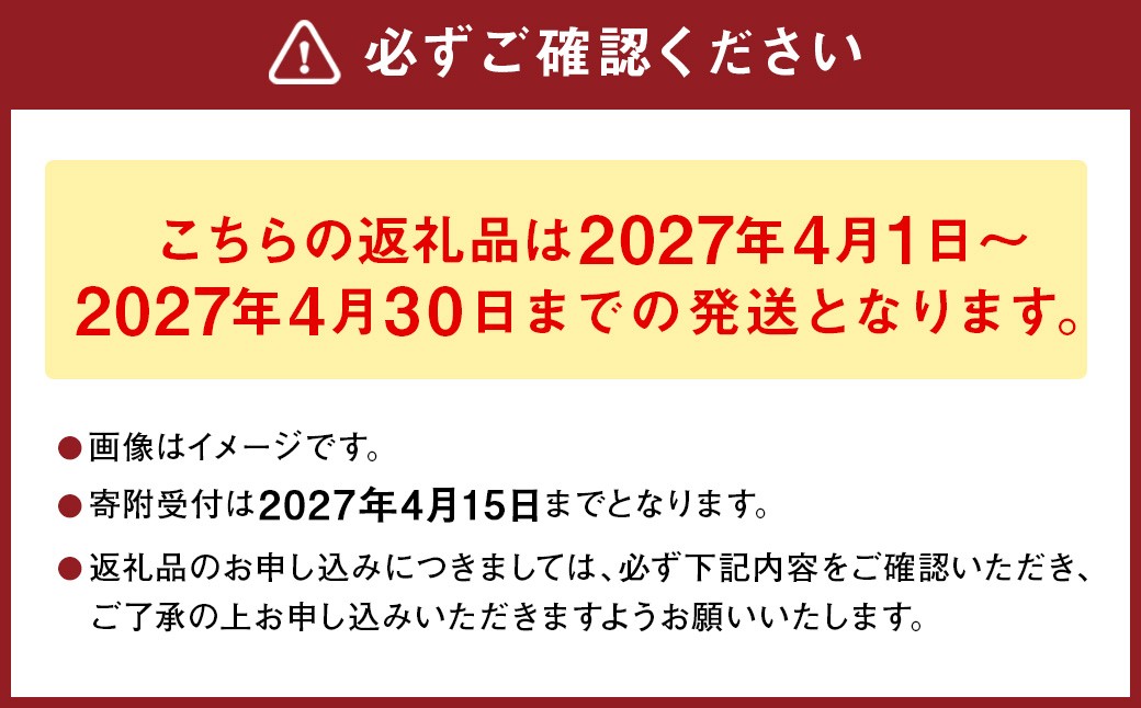 熊本県産朝掘り筍　約2kg