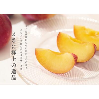 ふるさと納税 南アルプス市 【先行予約2026年】南アルプス市産 貴陽 約3kg(12~15個入) |  | 03