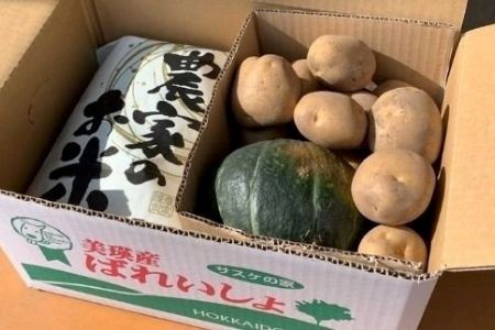 ≪令和７年産予約受付！≫サスケの家　新米と秋野菜のセット[015-101]