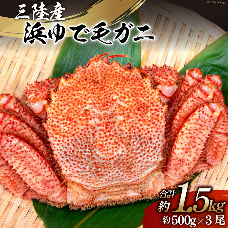 【ふるさと納税】 【期間限定発送】かに 三陸産浜ゆで毛ガニ 約500g×3 計1.5kg [村東商店 宮城県 気仙沼市 20564163] 魚介類 海鮮 三陸産 三陸 カニ 蟹 毛ガニ 毛がに 毛蟹 ボイル 浜茹で 浜ゆで 冷蔵