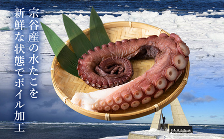 宗谷産　刺身用　煮たこ足約1.3kg(足2～4本)【配送不可地域：離島・沖縄県】