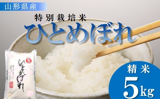 
                  【令和8年産・精米】竹原田ファームの特別栽培米ひとめぼれ5kg ※10月中旬頃から順次配送
                
