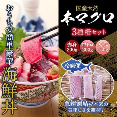 ふるさと納税 深浦町 国産天然本マグロの赤身・中トロ・大トロセット【No.5296-0031】 |  | 03