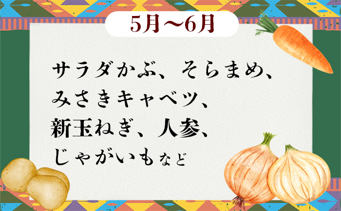 【 訳あり 】【 12ヶ月連続お届け 】 お楽しみ野菜セット （ 9袋 ）【 フードロス対策 】【 野菜 詰め合わせ お任せ 訳あり フードロス 季節物 セット 山芋 パセリ かぶ 人参 里芋 たまね