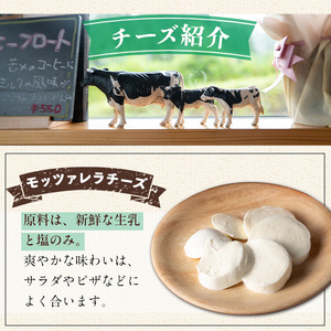 【西ノ村ファーム】放牧牛乳使用 手作りチーズセット5種_y466