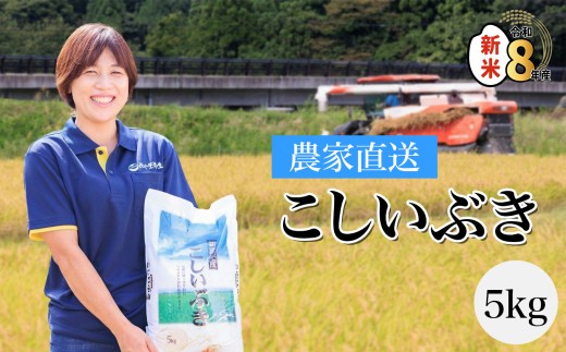 【2027年8月発送】令和8年産 プロが認めたうまい米『こしいぶき』5kg 新潟県糸魚川産 農家直送 2026年産 あぐ里能生【新潟県 糸魚川市 米 お米 こめ コメ ご飯 ライス ふるさと納税米 ブランド米 おすすめ ギフト 5キロ 精米 白米 人気 食品 選べる配送月】