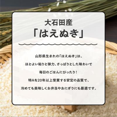 ふるさと納税 大石田町 新米 米 【玄米2回定期便 2月・5月発送】 はえぬき 30kg×2回 令和7年産  山形県 |  | 02