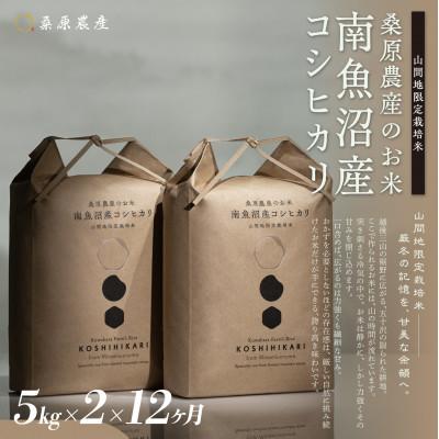 ふるさと納税 南魚沼市 【毎月定期便】桑原農産 山間地限定米 南魚沼産こしひかり5kg×2全12回