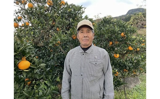 
            73-9　【先行予約】中嶋果樹園　栽培期間中　無農薬栽培!! MOA自然農法　ネーブルオレンジ約5kg
          