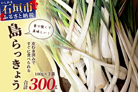 【2024年12月中旬から順次発送】島らっきょう（皮むき済み）300ｇ（100ｇ×3袋入り）KA-1
