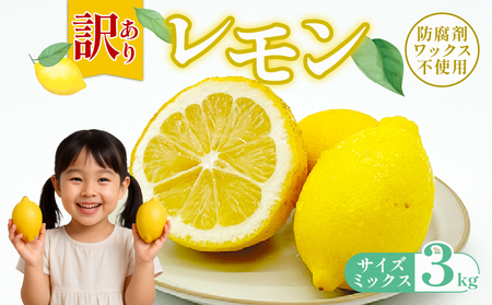 訳ありレモン 3kg ワックス 防腐剤不使用 サイズミックス カラーミックス グリーンレモン イエローレモン 柑橘 傷 不揃い レモン 檸檬 れもん  サイズミックスレモン 規格外 常温 愛南町 青果市場 愛媛県 