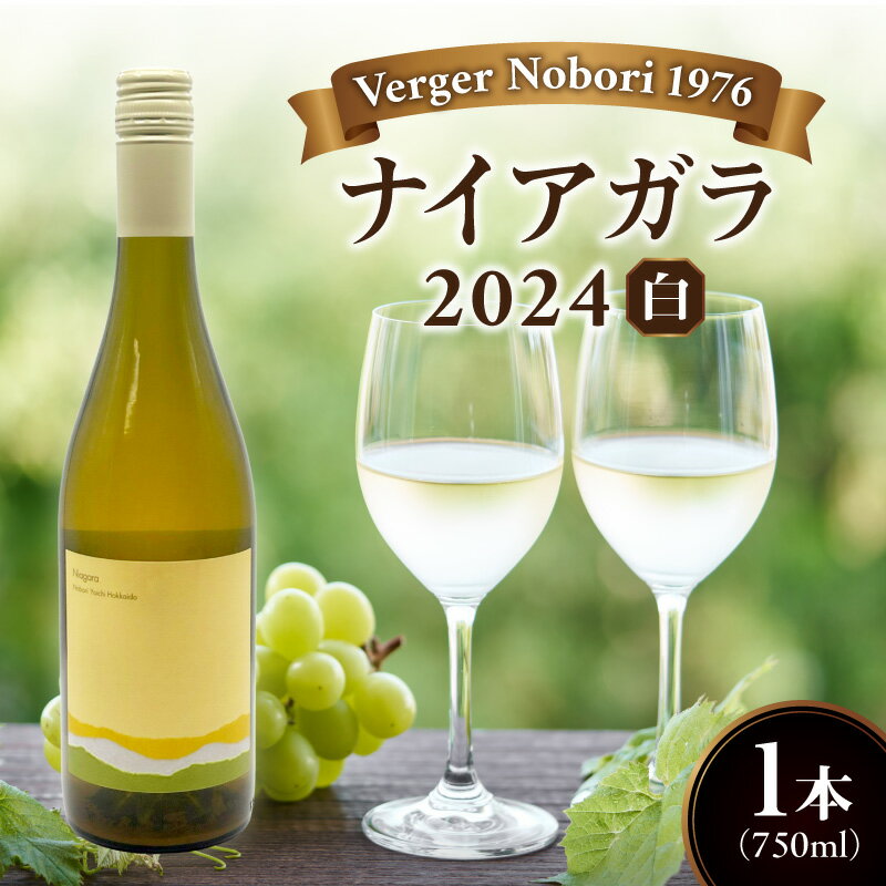 【ふるさと納税】余市町 ナイアガラワイン 2024 750ml×1本 Verger Nobori 1976 辛口白ワイン 余市町登町 マスカットの香り ナイアガラ ワイン 白ワイン ライトボディー マスカット 淡い黄金色 きめ細やかな泡 柑橘系 さっぱり 酸味 口当たり クリーン 北海道 送料無料