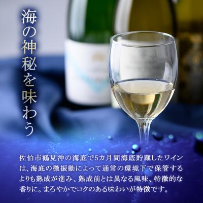 ふるさと納税 佐伯市 海底貯蔵ワイン 白 MARIREINE エチェヴェリア グランレゼルバ シャルドネ2022 |  | 02