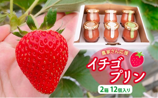
                  農家さん応援　イチゴプリン２箱１２個入り [№5346-0603]
                