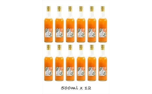 
                  【定期便 9回】小田原産江之浦みかん１００％ストレートジュース５００ml１２本｜飲料 ストレートジュース 人気 おすすめ 果汁飲料 フルーツドリンク ギフト 定期便 詰め合わせ 送料無料 神奈川県 小田原市
                
