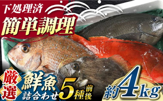 【期間限定！】対馬産 鮮魚 詰め合わせ 5種前後 4.0ｋｇ《対馬市》【対海】新鮮 天然 直送 冷蔵 セット [WAH022]