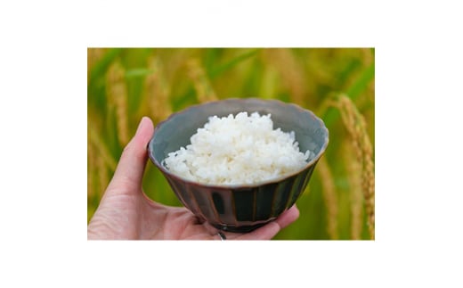 2024年5月発送開始『定期便』＜無洗米＞奈良県大和高田市産ヒノヒカリ5kg×2計10kg 全6回【5161197】