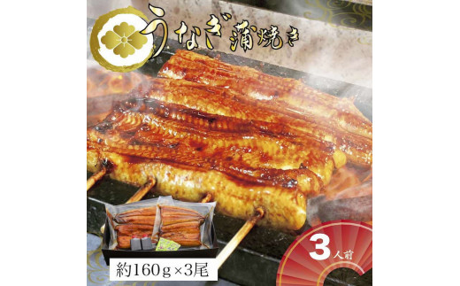 【熨斗なし】うなぎ蒲焼3人前（1人前約160g×3）贈答用パッケージ｜お取り寄せ グルメ 国産 鰻 お歳暮 御歳暮_AT03