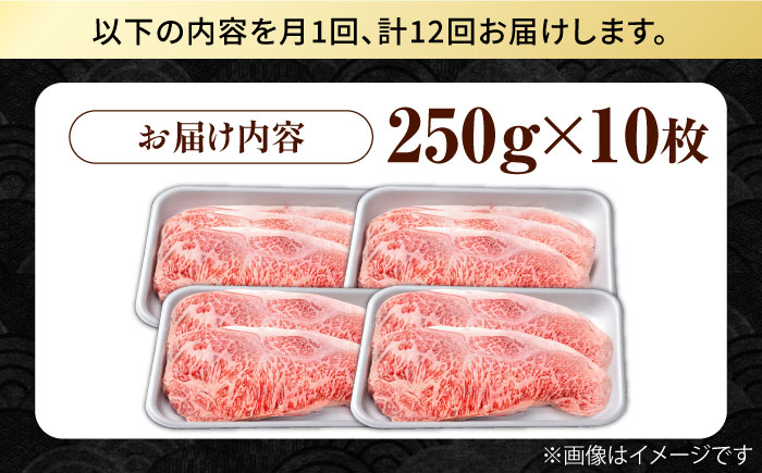 【12回定期便】佐賀県産 黒毛和牛 贅沢ロースステーキ 250g×10枚（計2.5kg）【株式会社いろは精肉店】 [IAG098]