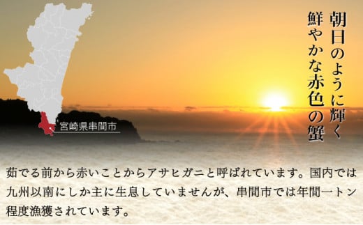 HRAGT-2 【数量・期間限定】宮崎県串間産アサヒガニ 特大サイズ約2kg(2~3匹) 日本では大変希少な国産アサヒガニ !【合同会社Houryoumaru】
