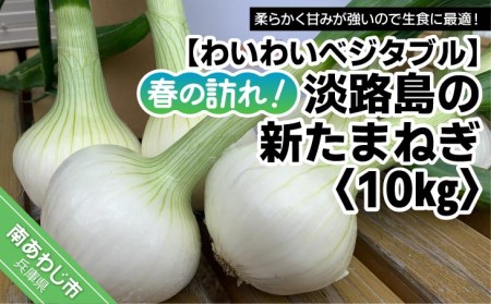 春の訪れ！淡路島の新たまねぎ（10㎏）　◆配送２月～５月下旬