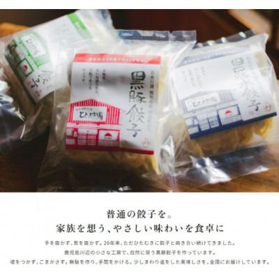 ふるさと納税 南九州市 【発送月固定定期便】ひぃ坊家の餃子定期便　黒豚餃子詰め合わせ80個全3回 |  | 03