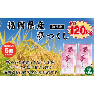 ふるさと納税 北九州市 【毎月定期便】《無洗米》【食味鑑定士厳選】福岡県産 夢つくし20kg(5kg×4)(北九州市)全6回