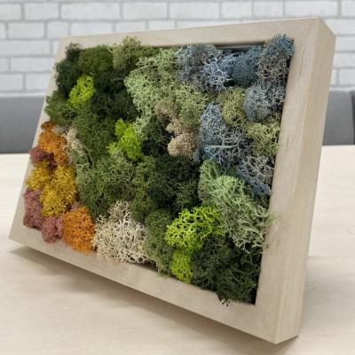 ふるさと納税 大和市 スカンディアモス アートワーク　枠カラー:バーチ調(19.6cm×14.8cm×H4〜5cm) |  | 02
