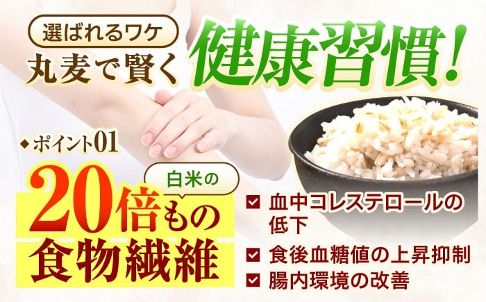 麦 むぎ 大麦 雑穀 雑穀米 麦ごはん ごはん 食物繊維 長崎県産 5キロ 定期便