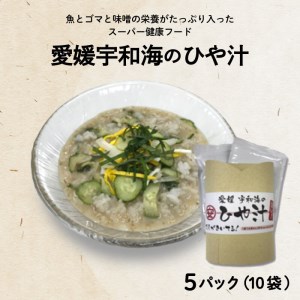 冷や汁 冷汁 5パック 冷や汁