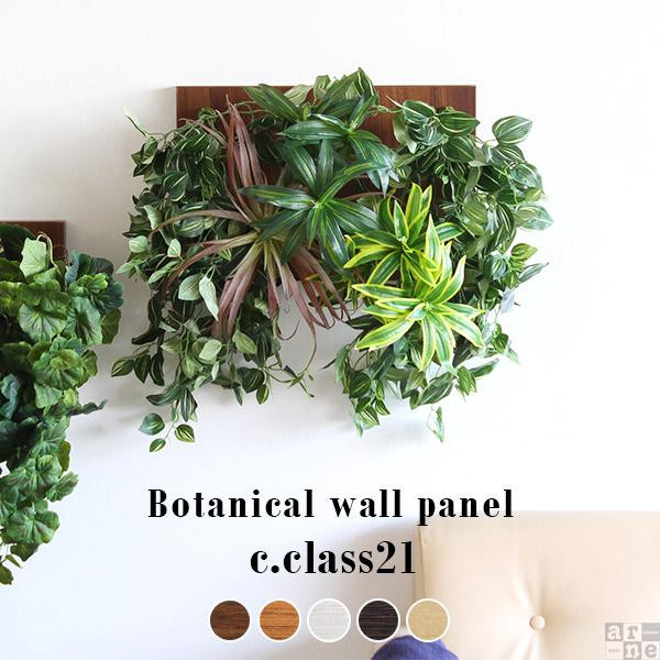 
Botanical c.class 21
