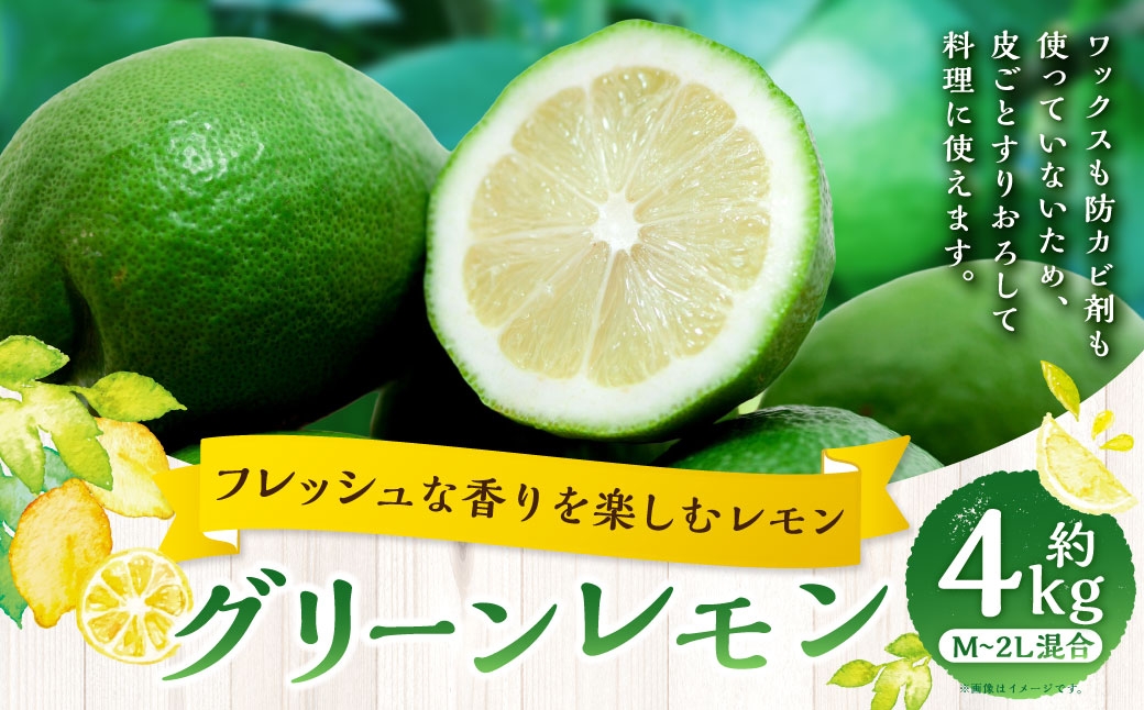 
                  【 フレッシュな香りを楽しむ青いレモン 】 グリーンレモン 約4kg レモン れもん 檸檬 柑橘類 柑橘系 柑橘 くだもの 果物 フルーツ 果実 果汁 果肉 国産 愛媛県産 グリーン 【 2026年9月下旬～11月下旬発送予定 】 ( 1042 )
                