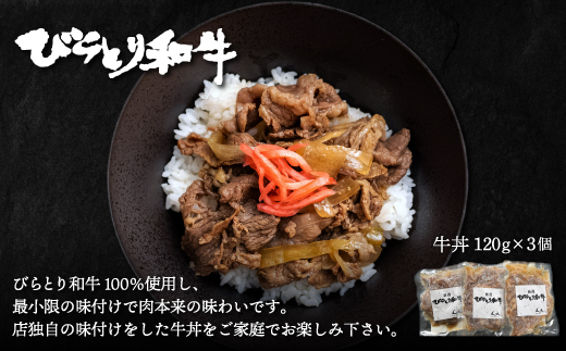 びらとり和牛ハンバーグ180ｇ3枚・牛丼120ｇ3個セット　オリジナルソース付 BRTB032