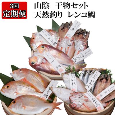 ふるさと納税 出雲市 【定期便3回】風味豊かな出雲のお魚詰合わせをお届けします!【3-083】 | 