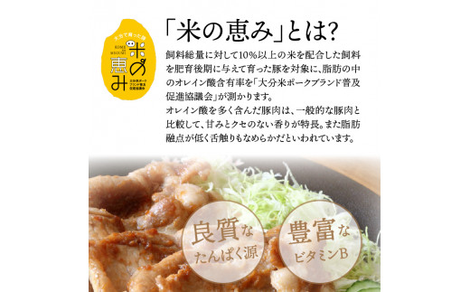 米の恵み豚/焼肉,しゃぶしゃぶ,生姜焼き堪能1.5kg（1176R）_イメージ5