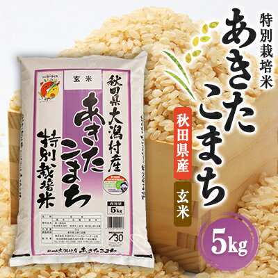 【ふるさと納税】あきたこまち特別栽培玄米5kg【配送不可地域：離島・沖縄県】【1595357】