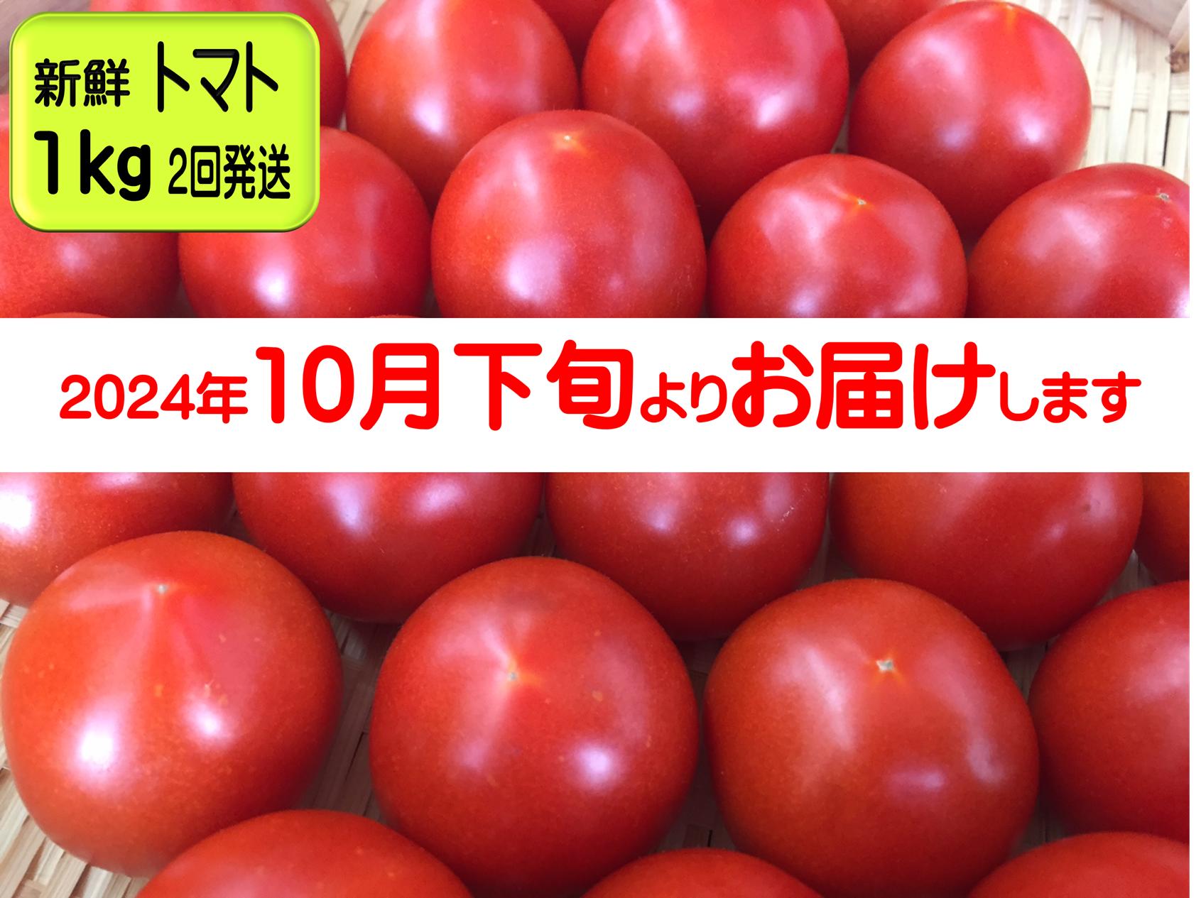 
TR-05◆安田町産の新鮮トマト1kg【2回発送】
