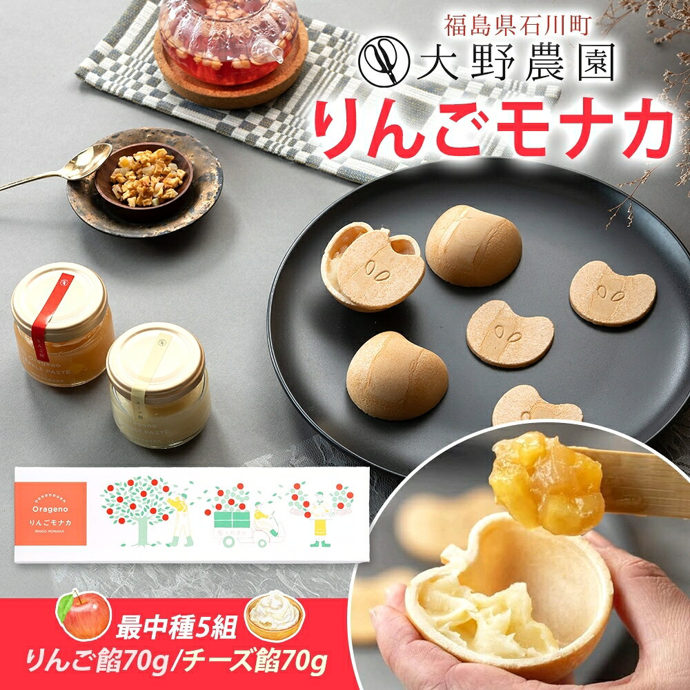 【ふるさと納税】りんごモナカボックス リンゴ もなか 加工品 お取り寄せ 贅沢 グルメ 贈答 ギフト 常温 送料無料 大野農園 福島県 石川町【19016】