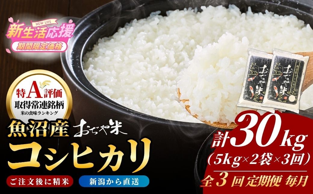 
                  【3か月定期便 コシヒカリ】 魚沼産コシヒカリ「おぢや米」合計30kg (5kg 2袋 毎月お届け全3回) 令和7年産 新潟県 JA魚沼 | 新潟産コシヒカリ 特A評価 魚沼産 新潟県産コシヒカリ 新潟県産こしひかり 魚沼コシヒカリ お米 米 こしひかり 白米 精米 ブランド米 特A評価地区【0002-JA16DB00】
                
