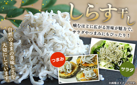 ＜漁師さん自慢のしらす干し 合計1kg 3回定期便＞ 定期便 シラス 魚介類 さかな 海産物 海鮮 海の幸 小分け 国産 ご飯のお供 丼 晩酌 おかず 特産品 濱田水産 愛媛県 西予市 【冷凍】『お申
