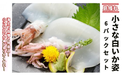 【小さな白いか姿】高級白イカ６パックセット おうちで白いかの姿造り