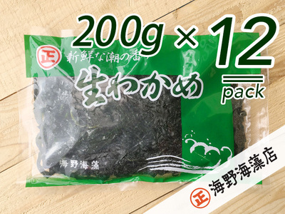 しゃきしゃき 湯通し塩蔵わかめ 2.4kg （200g×12パック） 国産 三陸産 海野海藻店 わかめ_AD002