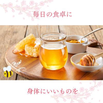 ふるさと納税 広川町 早春みつ　500g(広川町) |  | 01