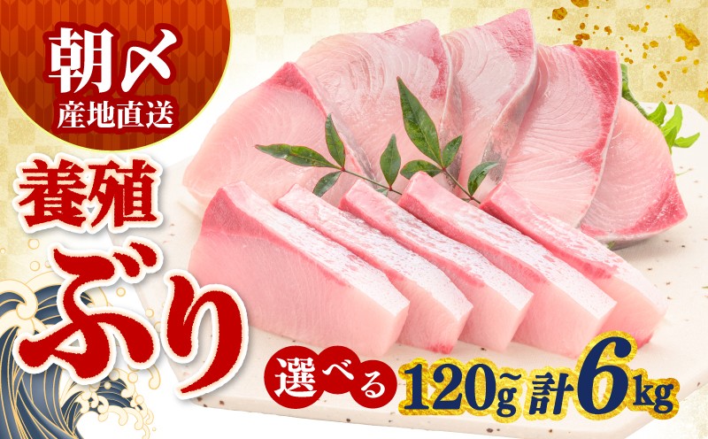 
                  ぶり 120g 400g 1kg 2kg 6kg 定期便 冷蔵 刺身 ブリ 鰤 お刺身 たたき しゃぶしゃぶ 鍋 カルパッチョ 丼 鮮魚 魚 お届け指定日 指定日 お試し 新鮮 魚介 海鮮 海産物 海鮮丼 養殖 刺し身 お刺し身 ブロック フィレ 柵 ギフト 国産 贈答用 お歳暮 お中元 お祝い 人気 サンライズファーム 高知県 四国 宿毛
                